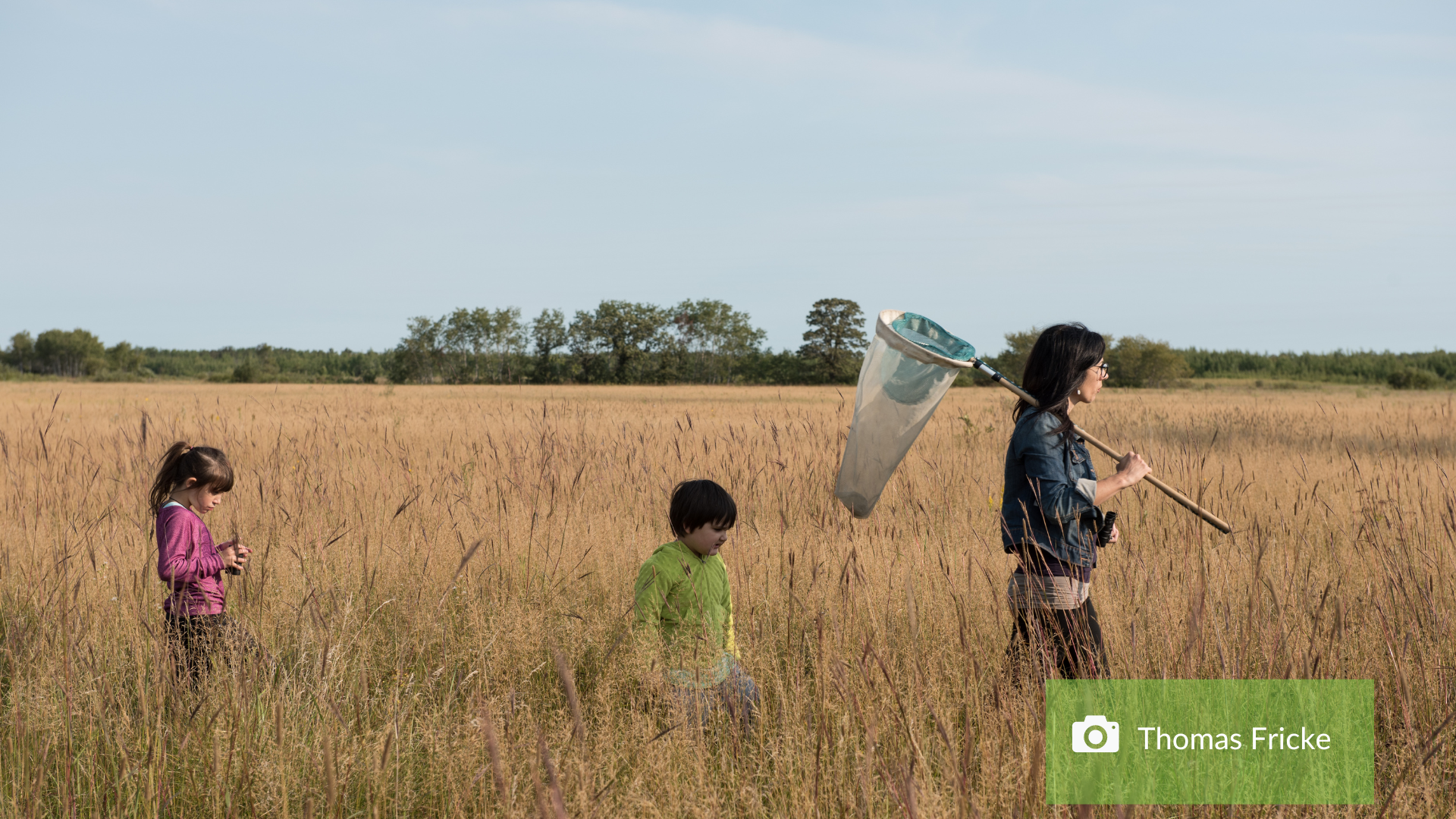 tall-grass prairie