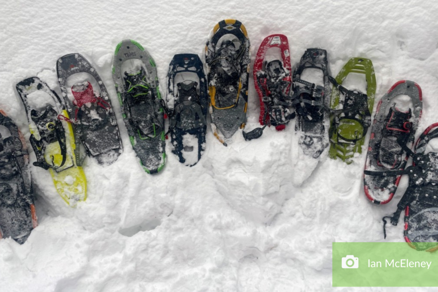 snowshoes lined up in the snow